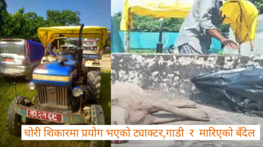 चोरीशिकारमा संलग्न रहेको आरोपमा पूर्व डीआईजी र बहालवाला सईसहित १० जना पक्राउ