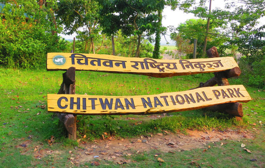 गोविन्दे हात्तीमा रेडियोकलर जडान, दाह्रासमेत काटीयो