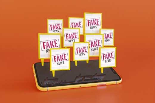 मुगुमा एक महिलाले ६ बच्चा जन्माएको हल्ला मात्र