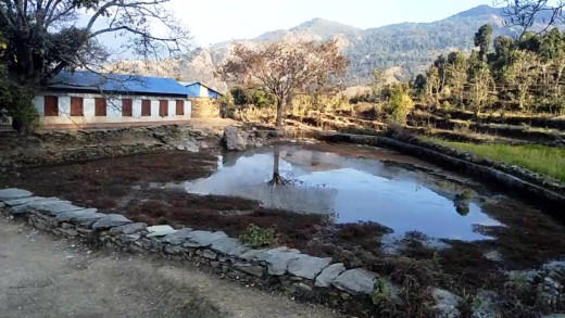 सुक्यो नागदह, हराए नाग