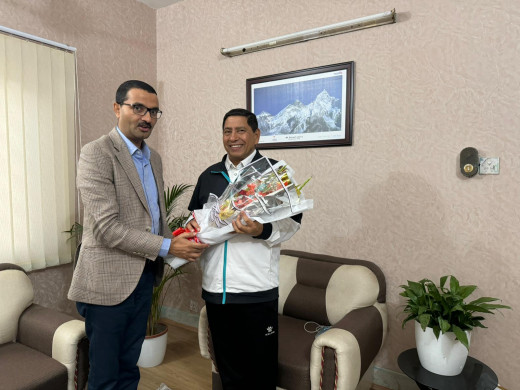 एनआरएनएलाई मिलाउन पहल गर्ने परराष्ट्रमन्त्रीको आश्वासन