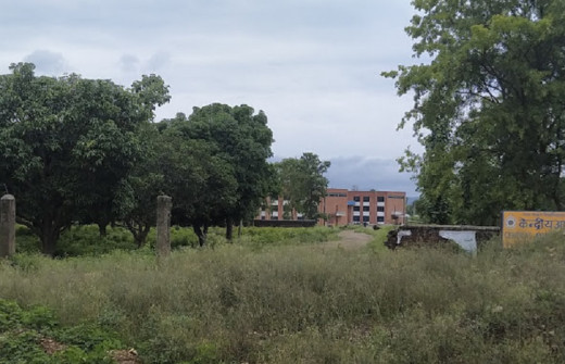 संस्कृत विश्वविद्यालयको अतिक्रमित जग्गा फिर्ता ल्याउन पहल, नक्कली मोहीले समस्या