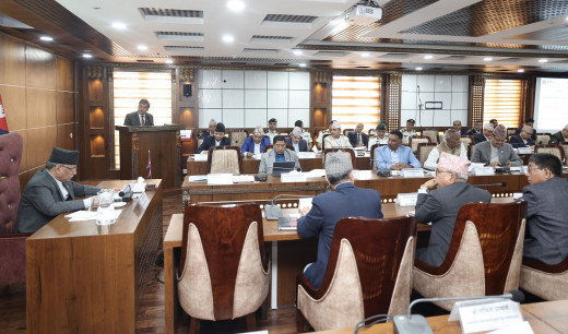 लम्की स्कीनबाट मरेका पशु चौपायाको क्षतिपूर्ति दिने कार्यविधि तत्काल टुंग्याउन निर्देशन