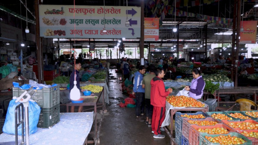 यस्तो छ आजको फलफूल तथा तरकारीको मूल्य