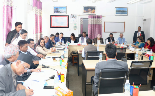 राजदूत सिफारिसमा समावेशिता ख्याल गर्न संसदीय समितिको निर्देशन, परराष्ट्रमन्त्रीले मागिन् माफी