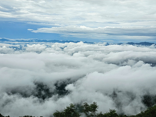 कोशी, बागमती र गण्डकीका केही ठाउँमा वर्षाको सम्भावना