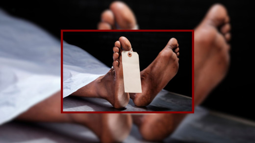 जनावरको आक्रमणबाट ५ महिनामा ८३ जनाको मृत्यु