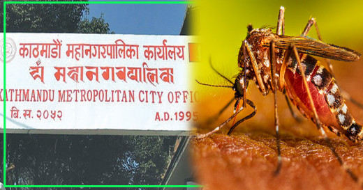 बढ्न थाल्यो डेंगु संक्रमण, सचेत रहन काठमाडौं महानगरको आग्रह