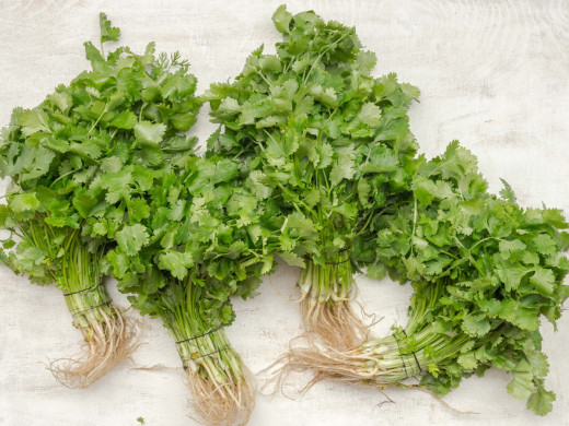 धनियाँ बेचेरै वार्षिक ३ लाख आम्दानी