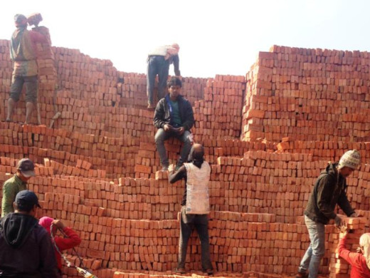 विद्यालय छाडेर बुबाआमासँगै इँटाभट्टा जान्छन् बालबालिका