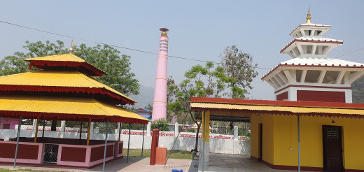 चतराधाम पूर्णमहाकुम्भ मेला अवधिमा ३६ जनाको उद्धार, ३ हजारको उपचार