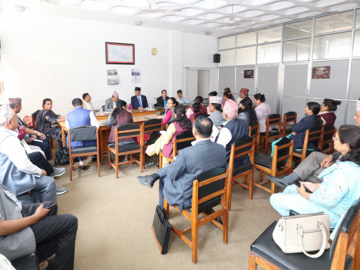 बजेटका सकारात्मक पक्ष अघि सारेर ‘डिफेन्स’ मा उत्रिन सांसदलाई प्रचण्डको निर्देशन 