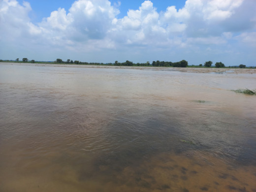 झापामा भारी वर्षा, तटीय क्षेत्रमा सतर्कता अपनाउन आग्रह 