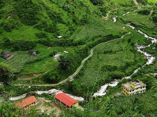 बाग्लुङमा हावाहुरीले मकै बालीमा क्षति पुर्‍यायो