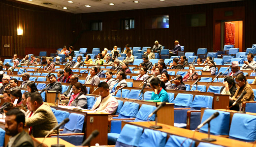 गृहमन्त्रीको राजीनामा माग्दै संसद्मा कांग्रेसको नाराबाजी, बैठक स्थगित