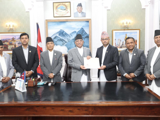 सहकारी ठगी प्रकरणः यस्तो छ टीओआरबारे ४ बुँदे सहमति 