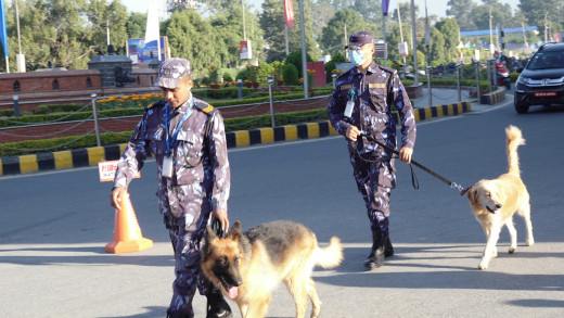 भोलिको प्रदर्शनलाई ध्यानमा राख्दै काठमाडौंका धर्मशाला र पार्टी प्यालेस सुरक्षा निगरानीमा