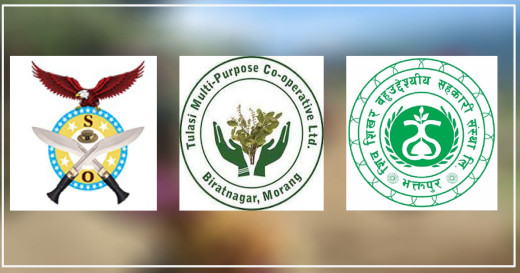 १४ अर्ब ठगी आरोपमा शिखर अर्गनाइजेशनका अध्यक्ष पक्राउ 