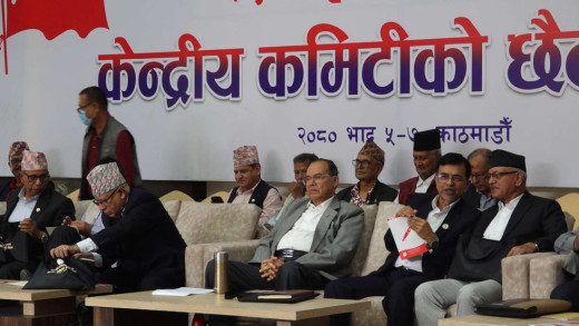 एकीकृत समाजवादीको बैठक सुरु