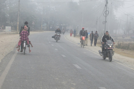 बाक्लो कुहिराका कारण तराई मधेसको जनजीवन प्रभावित