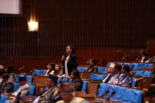 अमुक ल फर्मले बनाएको विधेयक संसदमा ल्याइयोः सुमना श्रेष्ठ