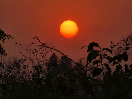 नयाँ वर्ष शुभारम्भ, २०८१ साल उल्लासमय बनोस् शुभकामना! 