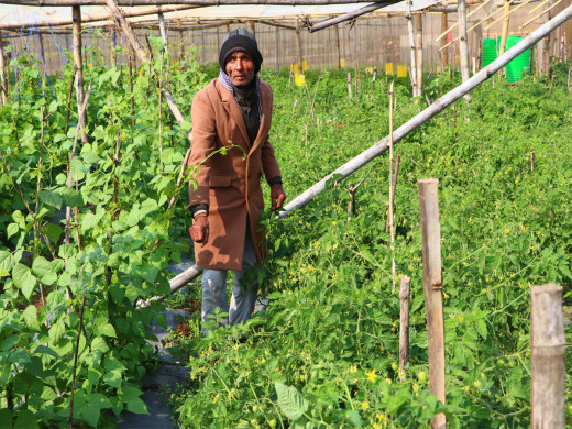 बाग्लुङका एक उदाहरणीय कृषक टीकाराम सापकोटा