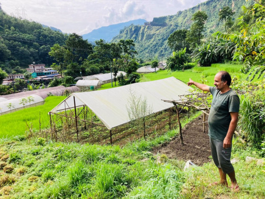 कृषि र पशुपालनबाट वार्षिक १५ लाखसम्म आम्दानी गर्छन् बाग्लुङका त्रिलोचन सापकोटा