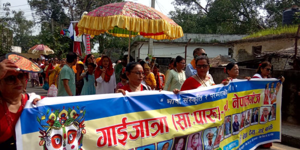 काठमाडौंमा गाईजात्राको रौनक