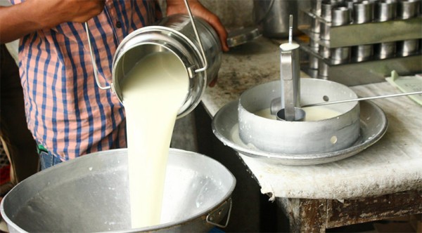 तराईमा सुख्खा मौसमले दूध उत्पादनमा कमी