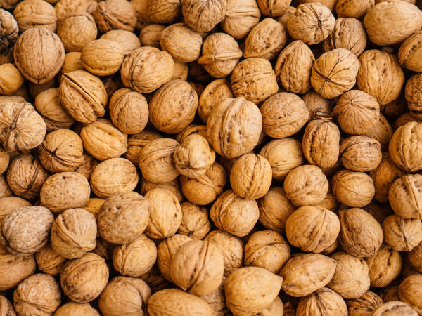 बाग्लुङमा बाँझो जग्गा सदुपयोग गर्न ओखर खेती