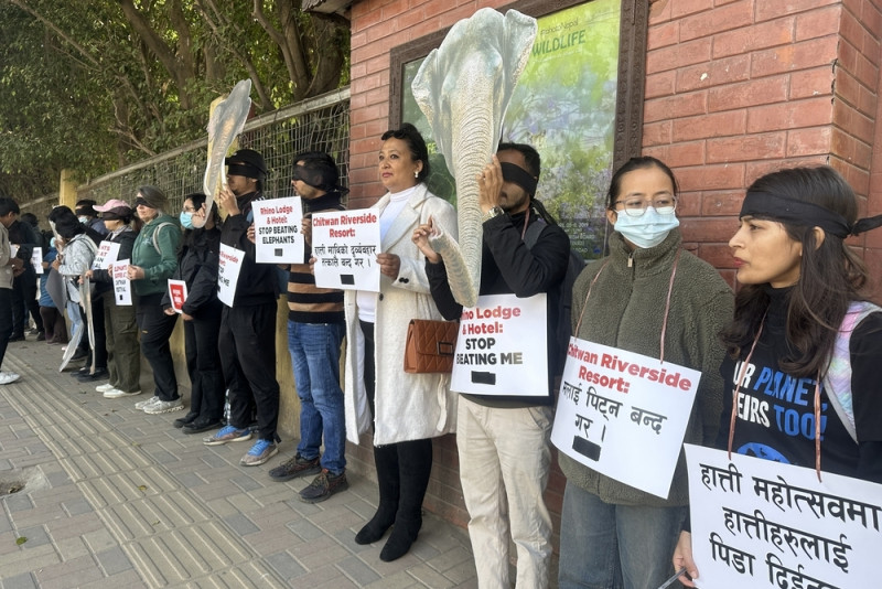 चितवनको हात्ती महोत्सव बन्द गर्न माग गर्दै काठमाडौंमा प्रदर्शन