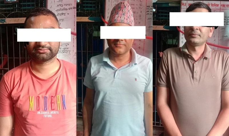 मेगा ड्रिम सहकारीका उपाध्यक्ष र सीईओसहित ३ जना पक्राउ, अध्यक्षसहित ७ जना फरार