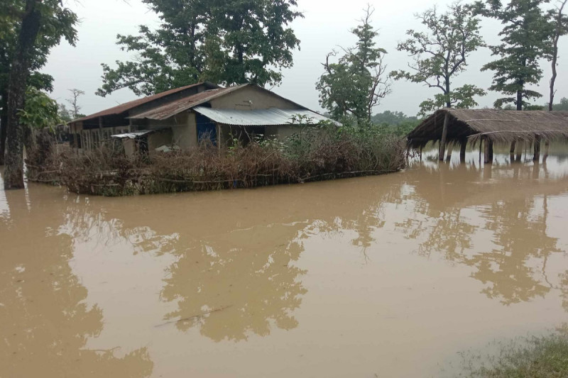 बाढी बस्तीमा पसेपछि कैलालीको भजनी नगरक्षेत्र जलमग्न