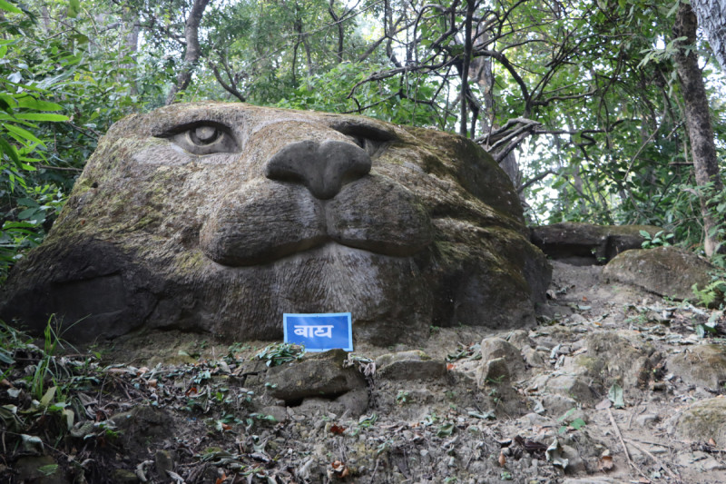 ढुङ्गामा बाघको आकृति
