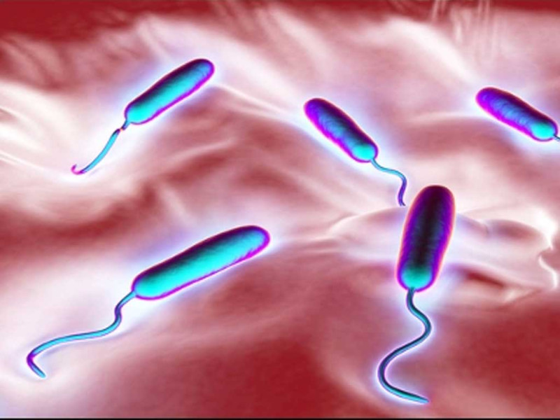 ललितपुरका ४१ सहित ५५ जनामा हैजा सङ्क्रमण, ७४ जिल्लामा फैलियो डेङ्गु