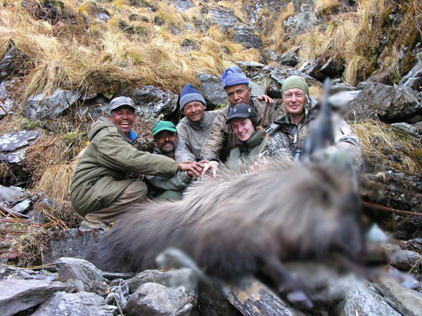 एउटै नाउरको सिकार गर्न २३ लाख !