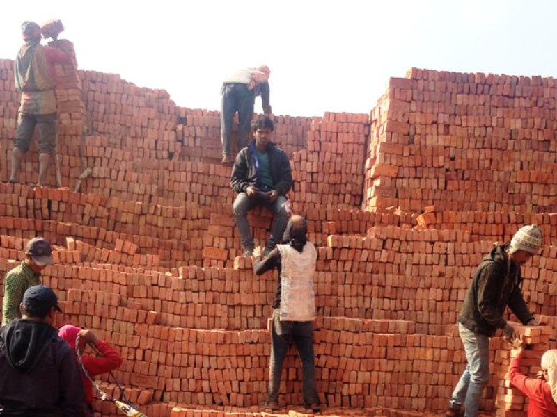 विद्यालय छाडेर बुबाआमासँगै इँटाभट्टा जान्छन् बालबालिका 