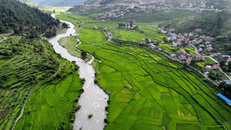 तस्बिरमा जुम्लाको हिमा नदी र मार्सी धान खेती