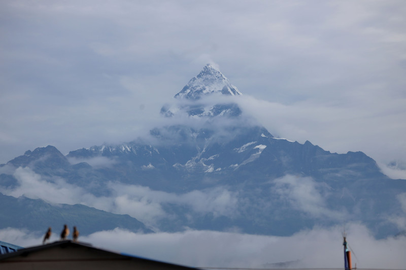 माछापुच्छ्रे हिमाल