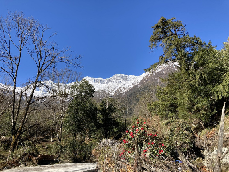 शरद ऋतुमा १२ सय बढीलाई हिमाल आरोहण अनुमति, ८ करोड रोयल्टी उठ्यो