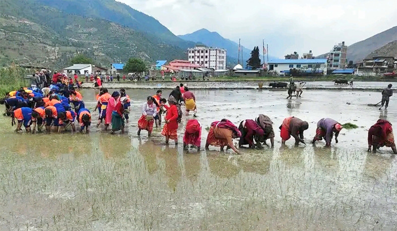 मार्सीधान रोपाइँ