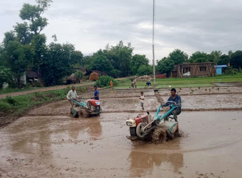 अनुदानमा किसानलाई ‘मिनीटिलर’ वितरण
