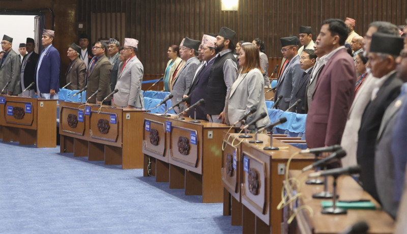 सरकार गठनबारे सवालजवाफः संसद्मा किन भयो बालाजु २२ धाराको चर्चा? 