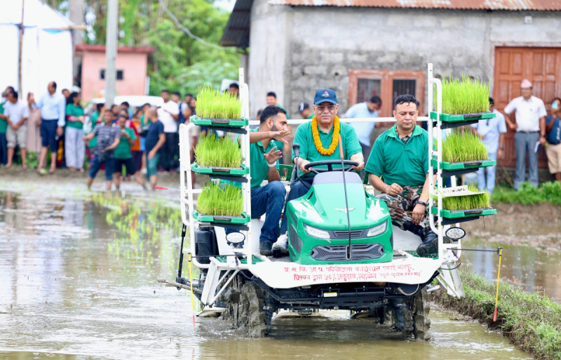 प्रधानमन्त्री प्रचण्डले धान रोपे