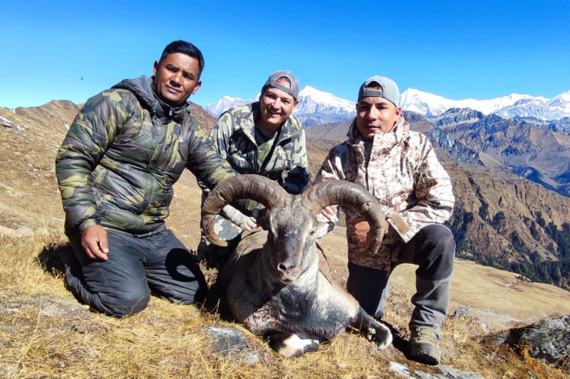 पहिलो याममा १० नाउर र पाँच झारलको सिकार