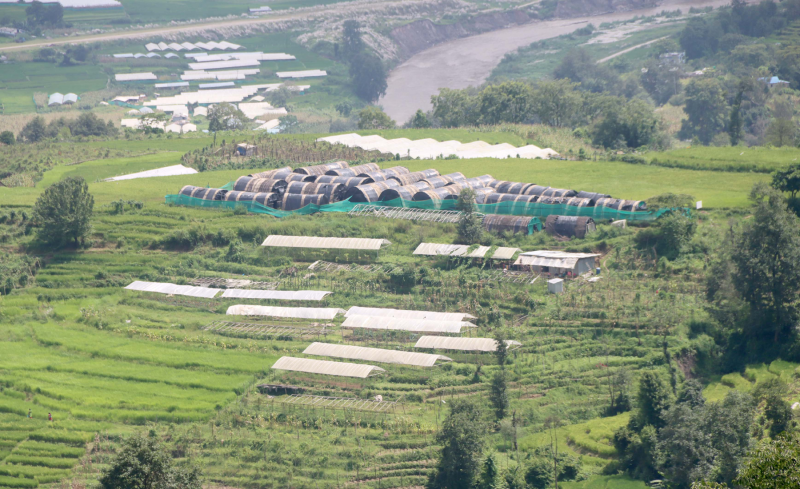 घरजग्गा कारोबार : सबैभन्दा बढी झापामा, अरू जिल्लामा कति ?