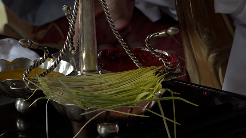 नवदुर्गाको प्रसादस्वरूप टीका र जमरा लगाउनेक्रम जारी