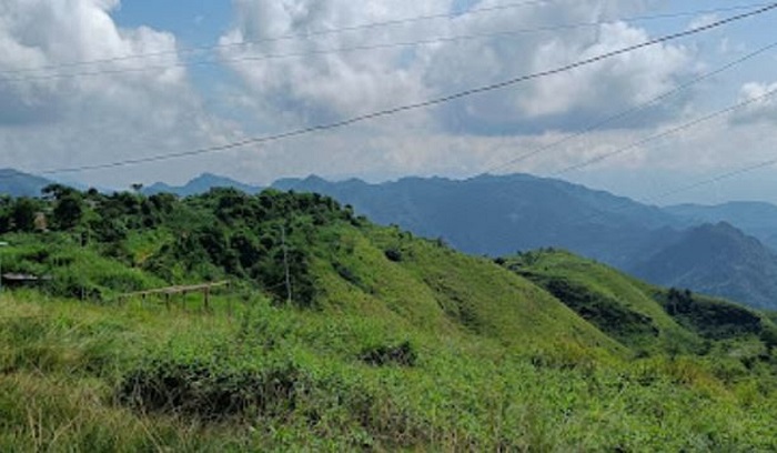 मासु उत्पादनमा अनुदान, घाँस खेती गरे प्रोत्साहन