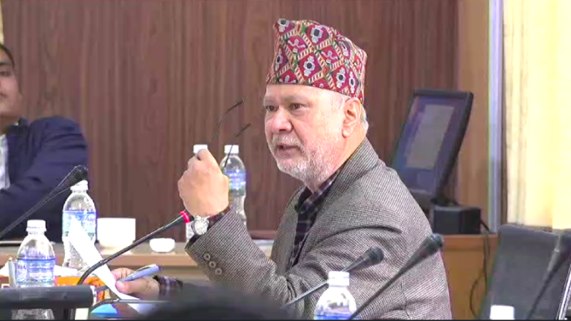 दुर्गा प्रसाईंका सुरक्षागार्डको हतियारबारे छानविन गर्न माग